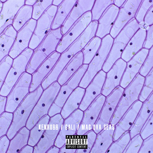 国外舔乳头网站
