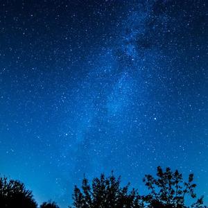 国外舔乳头网站
